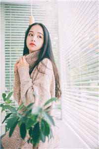 和亲后，东厂督主他后悔了完整阅读