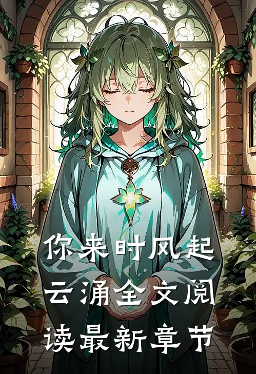 你来时风起云涌全文阅读最新章节