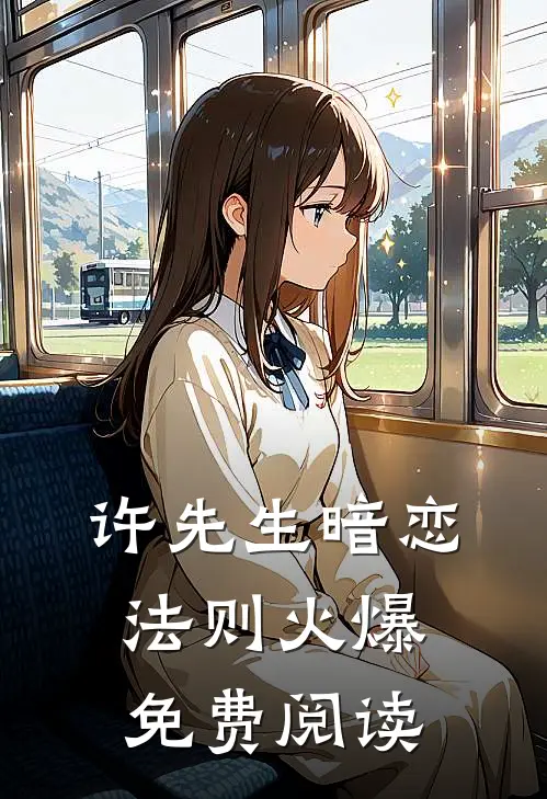许先生暗恋法则火爆免费阅读