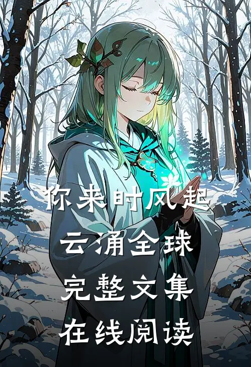 你来时风起云涌全球完整文集在线阅读