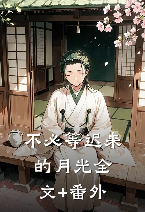 不必等迟来的月光全文+番外