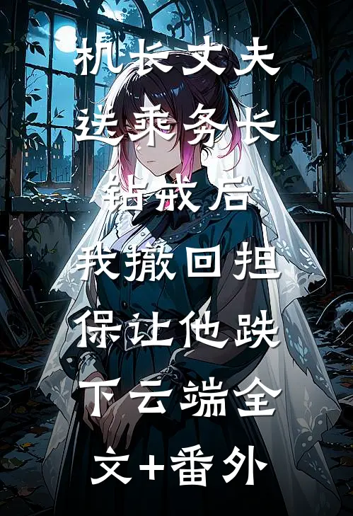 机长丈夫送乘务长钻戒后，我撤回担保让他跌下云端全文+番外