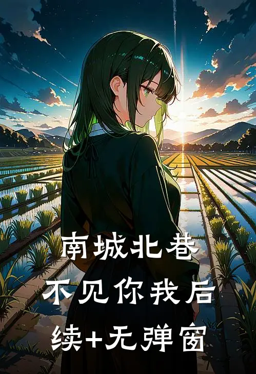 南城北巷，不见你我后续+无弹窗