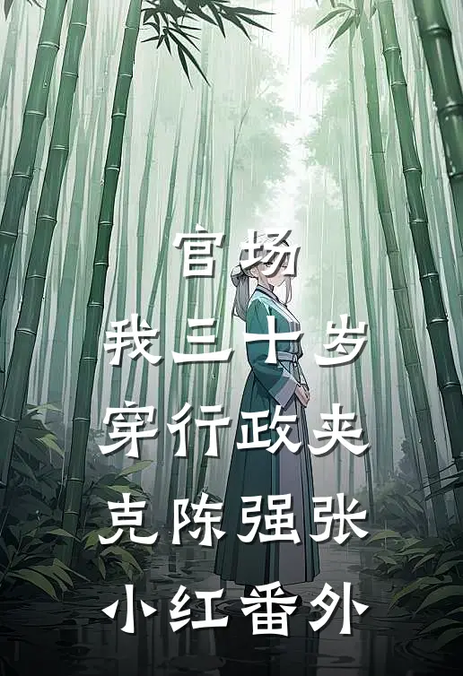 官场：我三十岁穿行政夹克陈强张小红番外