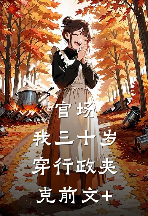 官场：我三十岁穿行政夹克前文+