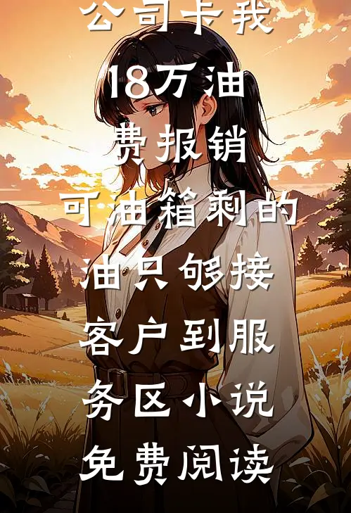 公司卡我18万油费报销，可油箱剩的油只够接客户到服务区小说免费阅读