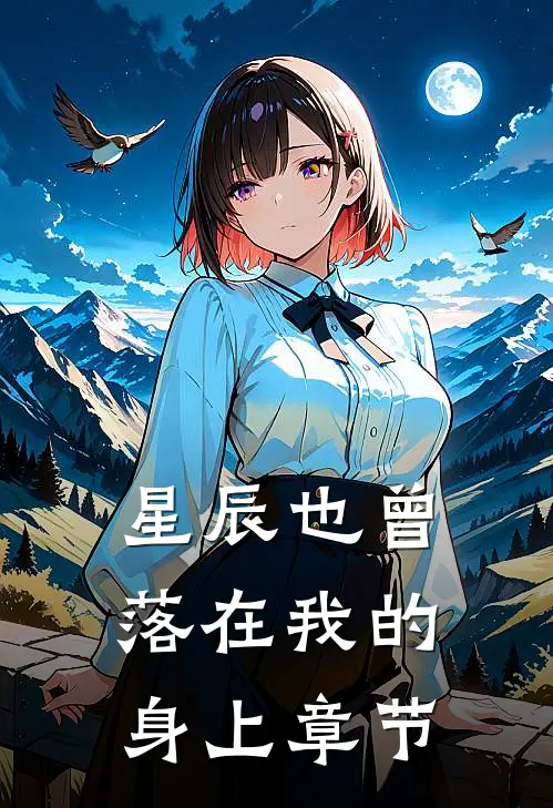 星辰也曾落在我的身上章节