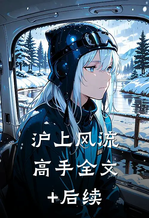 沪上风流高手全文+后续