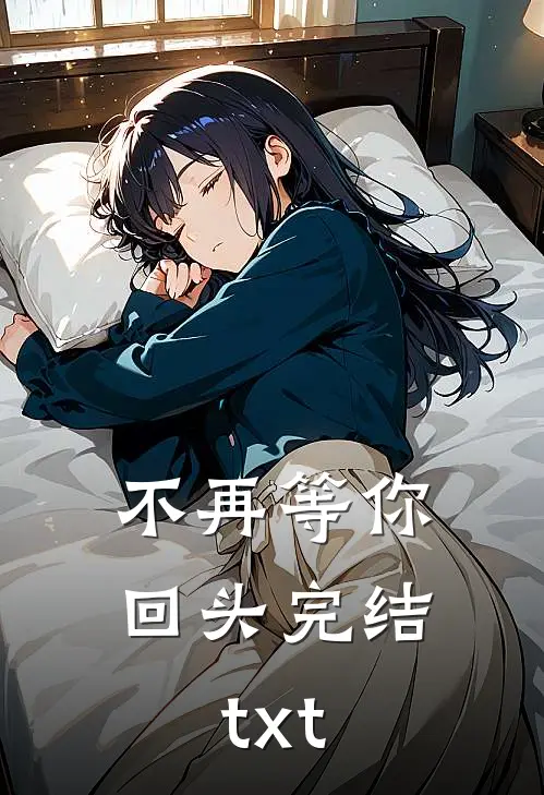 不再等你回头完结txt