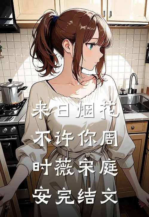 来日烟花不许你周时薇宋庭安完结文