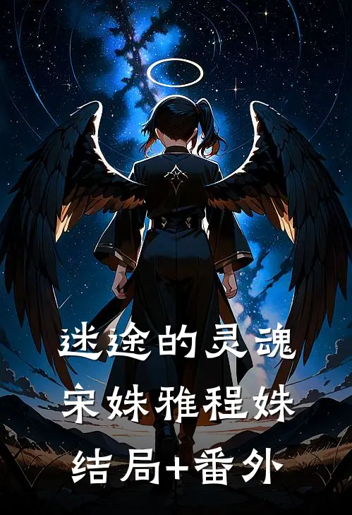 迷途的灵魂宋姝雅程姝结局+番外