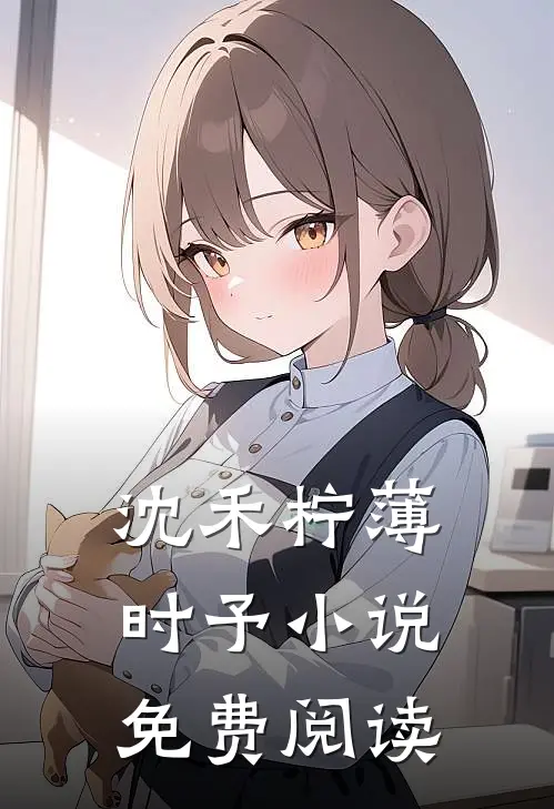 沈禾柠薄时予小说免费阅读