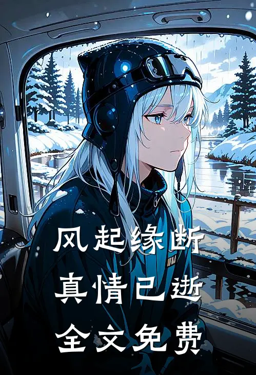 风起缘断，真情已逝全文免费