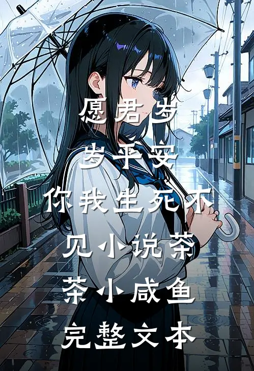 愿君岁岁平安,你我生死不见小说茶茶小咸鱼完整文本