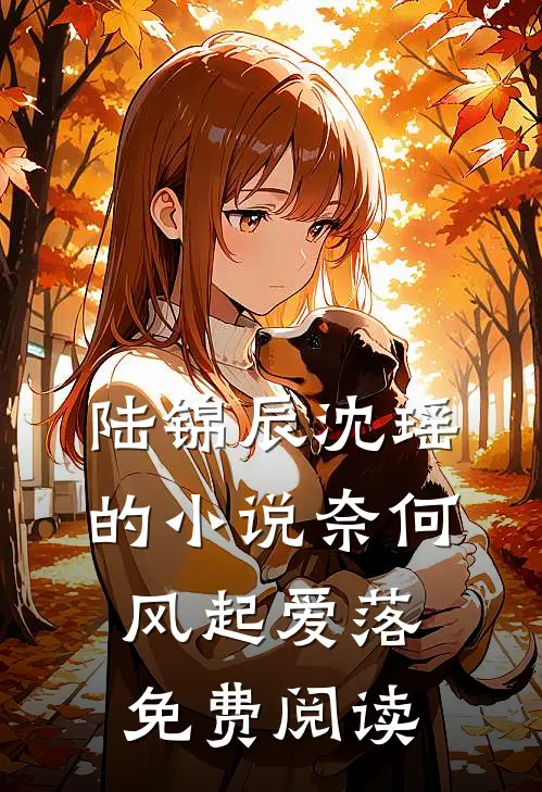 陆锦辰沈瑶的小说奈何风起爱落免费阅读