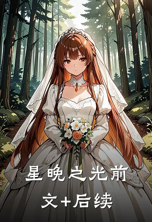 星晚之光前文+后续