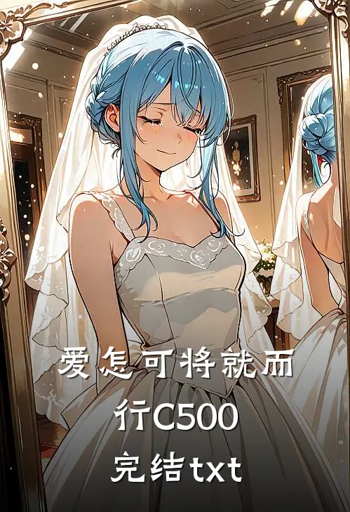 爱怎可将就而行C500完结txt