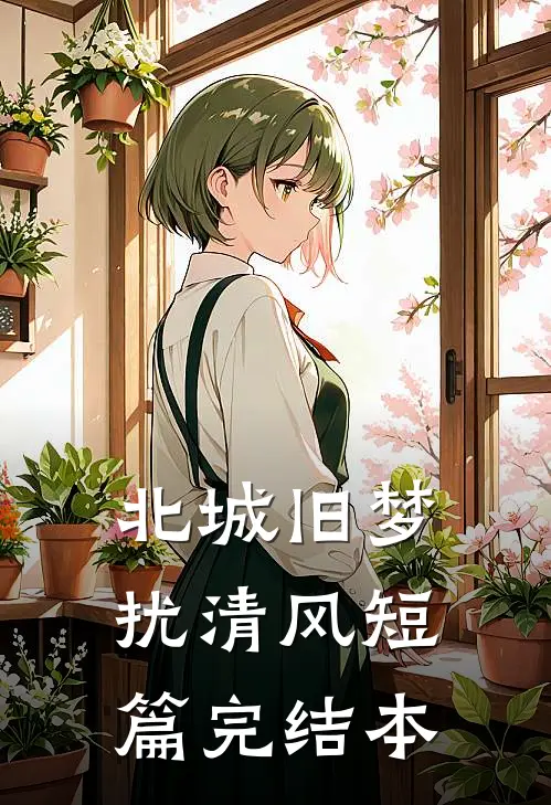 北城旧梦扰清风短篇完结本
