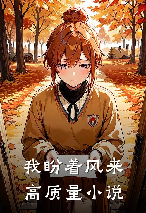 我盼着风来高质量小说