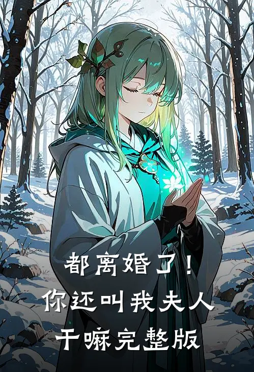都离婚了！你还叫我夫人干嘛完整版