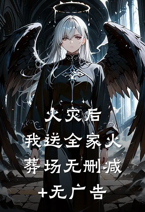 火灾后，我送全家火葬场无删减+无广告
