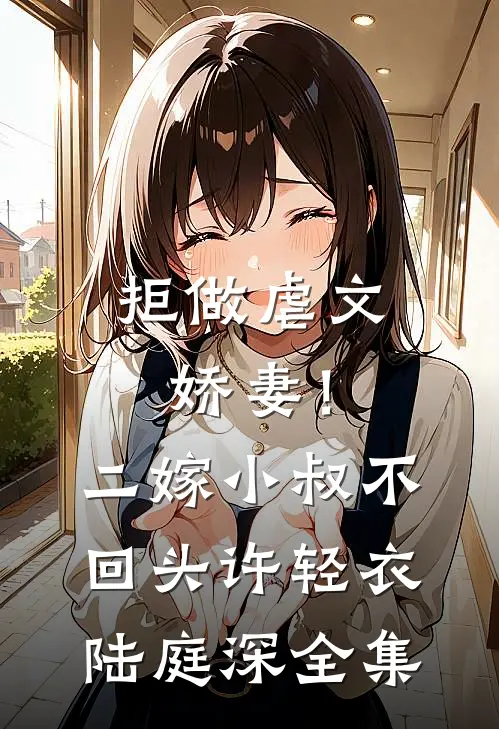拒做虐文娇妻！二嫁小叔不回头许轻衣陆庭深 全集