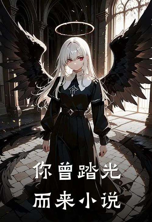 你曾踏光而来小说