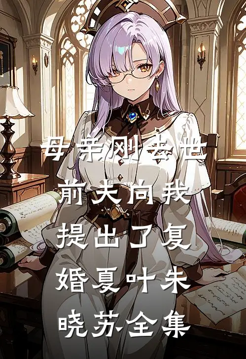 母亲刚去世，前夫向我提出了复婚夏叶朱晓苏 全集