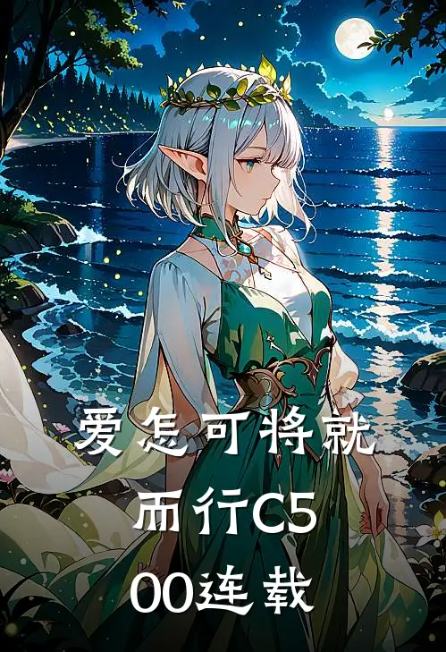爱怎可将就而行C500连载