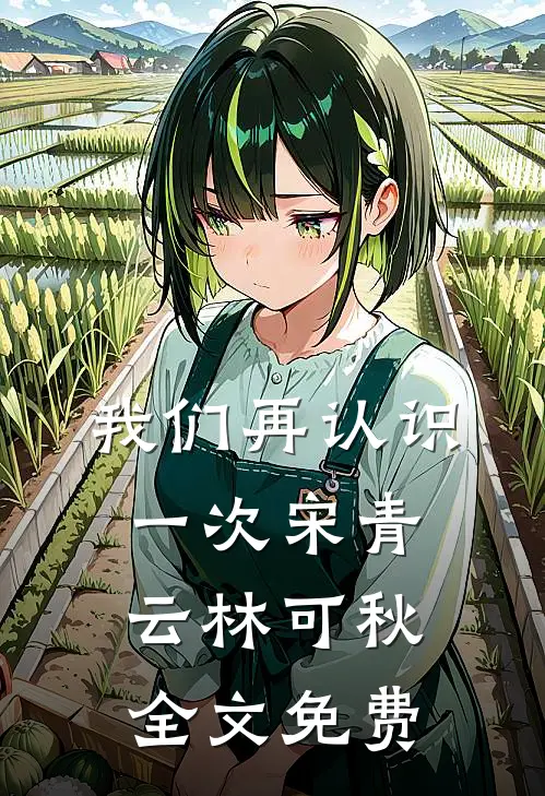 我们再认识一次宋青云林可秋全文免费